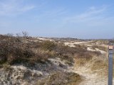 Pannenkoekenmolenloop 2016 - 40.jpg